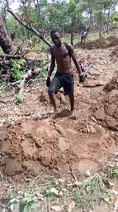 60K views · 2K reactions | Pure Virgin boys making heaps this side, it's African Renaissance and farming is the only way | IHEDI - Light of Africa | Facebook