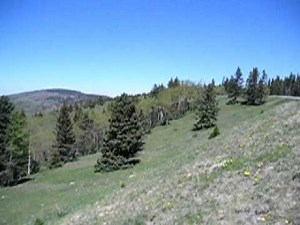 SPOT: Scenic View Along US Hwy-64 in New Mexico