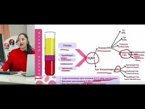 8 сынып. Қанның құрамы мен қызметі