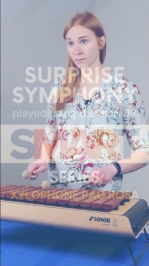Surprise Symphony | Sonor SMART Series Xylophone Playing Demonstration