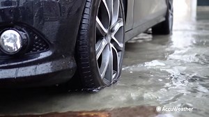 3.2K views · 32 reactions | Experts suggest seeing if the car has a moldy or mildewy smell and feeling around for moisture to determine if the car you are buying has had any previous flood damage. https://bit.ly/39rWj0k | AccuWeather | Facebook