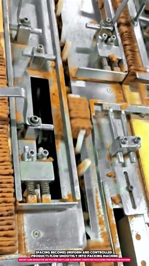 Biscuit Lane Separator 250 pcs/min Multi Lane Alignment Conveyor Packaging Preparation Machine