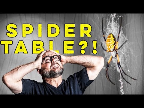 A Spider Taught Me How to Build This Table