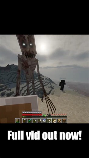 This is NOT supposed to be in Minecraft 😱