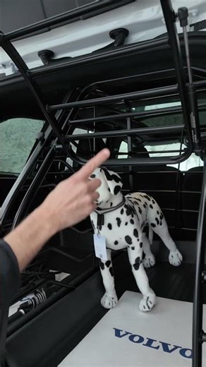 2025 Volvo XC90 – The Perfect SUV for Dog Owners? 🐶🚗
