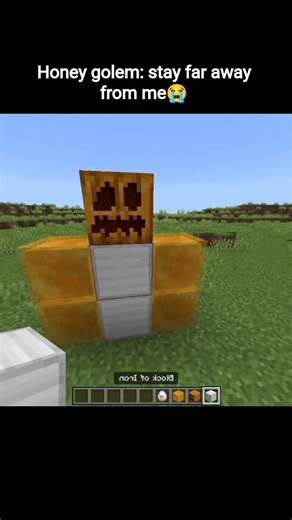 HONEY GOLEM MINECRAFT