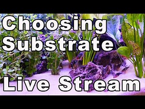 Gravel vs Sand: How to Choose The Right Substrate!