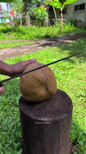Coconut Cutting ASMR Experience