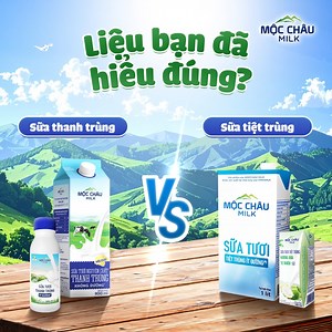 Thanh trùng hay tiệt trùng – Chân ái của bạn là gì? 🤔 Mỗi lần đứng trước quầy sữa, bạn có bối rối tự hỏi: Thanh trùng và tiệt trùng khác nhau gì ta? Cùng Mộc Châu Milk khám phá ngay để chọn đúng loại sữa hợp gu nhé! 🥛 Thích hương vị tươi nguyên, béo ngậy và giữ trọn dưỡng chất tự nhiên? Chọn ngay sữa tươi thanh trùng! 🧃 Còn những lúc bận rộn, muốn nạp năng lượng tiện lợi, thì sữa tươi tiệt trùng chính là “chân ái” – không cần bảo quản lạnh, dễ dàng mang theo mọi nơi. 🤩 Với nguồn sữa tươi ngu