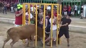 11K views · 102 reactions | Dangerous Game with Ban Bull | Funclub21 | Facebook