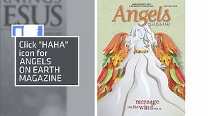 2.3K views · 41 reactions | Poll of the Day: Vote For Your Favorite...