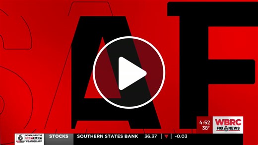 Advice for hiring tree service - NewsBreak