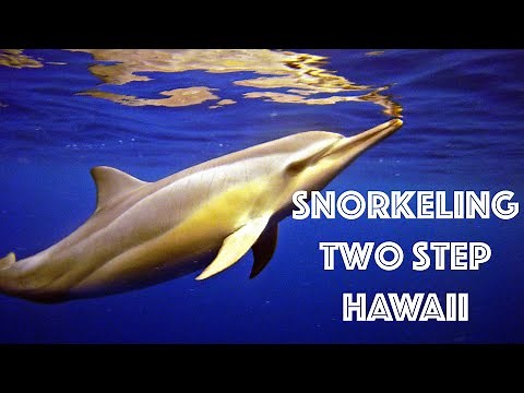 Snorkeling Review -Two Step, Hawaii (Honaunau Bay, Place of Refuge, Big Island)