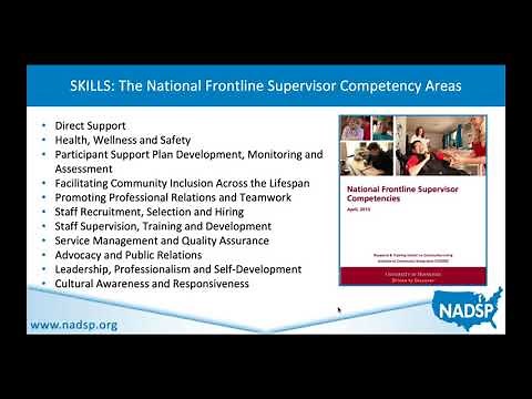 The Launch of the NADSP E Badge Academy Webinar
