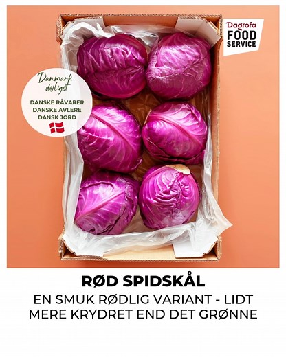 塞November er hæjsæson for mange lækre og sprøde kålsorter - hver med sin egen karakter. Fra sprød og saftig glaskål, til den klassiske krydrede rødkål - kål giver både tekstur, smag og dybde til efterårsmenuen  Dyk ned i udvalget af sæsonens kål her: https://dgfs.dk/nyheder/ansvarlig-menu/frugt-groent-i-saeson-november/ | Dagrofa Foodservice | Facebook