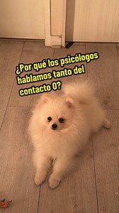 Contacto 0 tras una ruptura: qué es y cómo mantenerlo