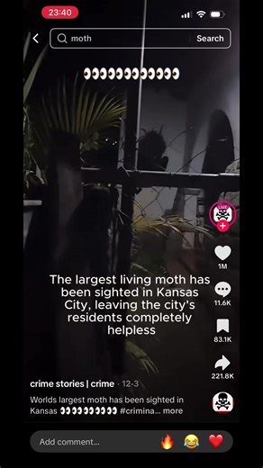 Throw the whole country away 🥀 #refmike | a moth