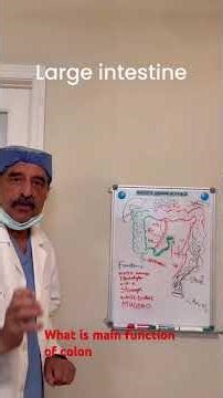 What is main function of colon ?