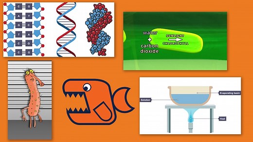 The strenuous Bitesize science quiz - BBC Bitesize