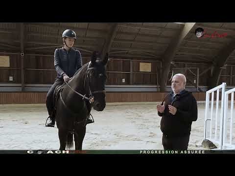 Entrainement équestre de haut niveau: mobilisation des épaules et assouplissement du dos du cheval.
