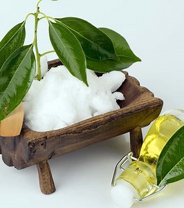 Camphor Side Effects: 10 Serious Risks You Should Know