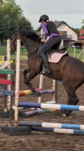 Chcecie pełny odcinek? #konie #horse #skoki