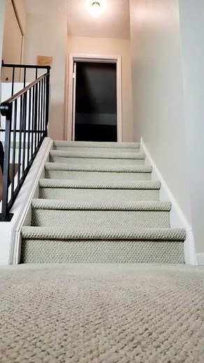 Rabbit thumping in anger and irritation