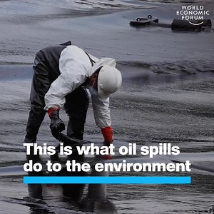 This Is What Oil Spills Do To The Environment