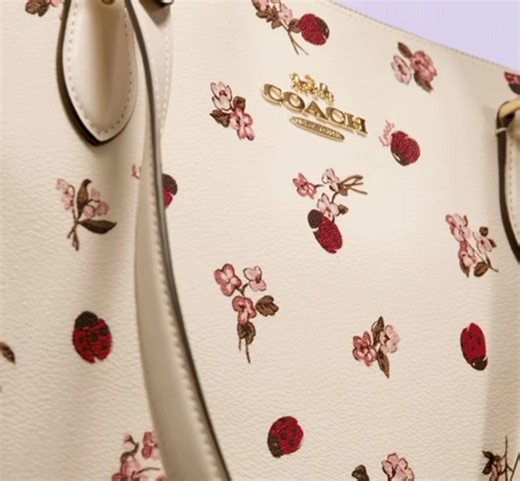 5.3K views · 98 reactions | New print : The leap Year : Lady Bug ❤️ | Addicted to Handbags | Facebook