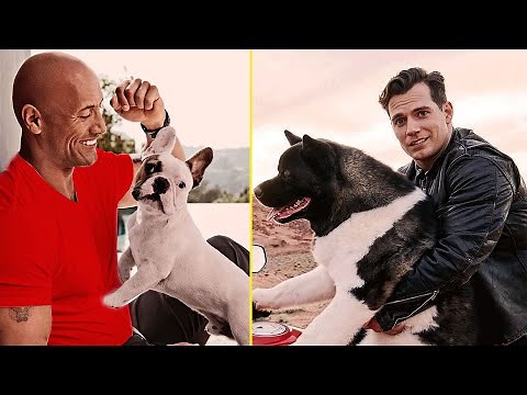 Famous Celebrities and Their Adorable Pets | Stars Who Love Animals