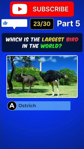 Fast General Science Quiz! #QuickQuiz #GeneralKnowledge #ScienceTrivia