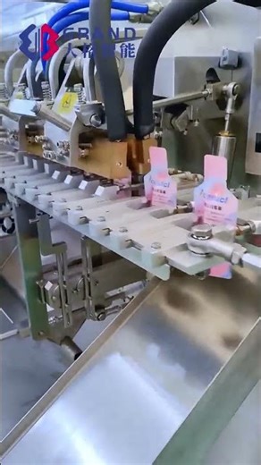 Shape Self-standing Bag Packaging Machine | Horizontal Pouch Filling System Explained