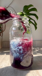 2.3K views · 23 reactions | Blueberry Gatorade recipe #healthylifestyle | Cecily's Natural | Facebook