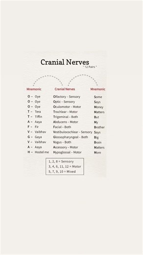 Cranial Nerves in 30 Sec 🤯 | Easy Mnemonic Trick 💡 #Shorts