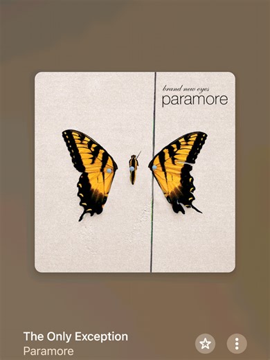 The Only Exception - Paramore Lyrics