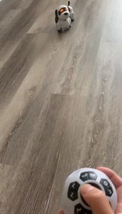 Watch Interactive robot puppy on Amazon Live