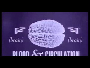 Bill Nye the Science Guy S02E03 Blood & Circulation