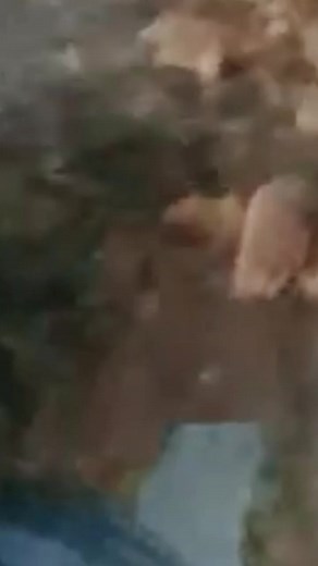 Cuentas recomendadas