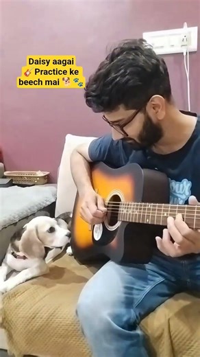 Daisy Stopped My Guitar Practice… Just to Listen 🥹🎸🐶 #shorts