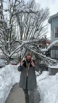 This Tree Breaks!