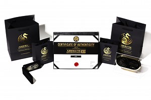 ABSOLUTE10 - McLaren Build Package (Turbo Upgrade) - M838 - Renaissance Speed