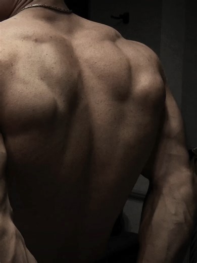 Building Muscle with Calisthenics Workouts