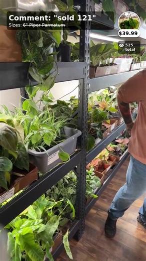 Packing plants in real time! Come hang at The Victorian | Tanner The Planter