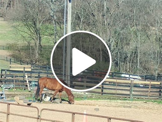 love the country life  - NewsBreak