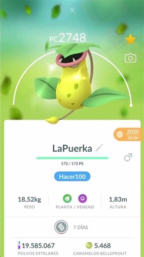 VICTREEBEL 100% IV at 4105 CP 😱 SUPER POWERFUL MEGA EVOLUTION in Pokémon GO!