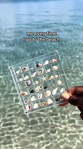 collect your summer memories ☀️🐚 #summer #beach #seashell #seashellcollection | displayshellco