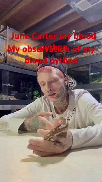 My observations raising up my blood python #reptileslovers #snakes #bloodpython