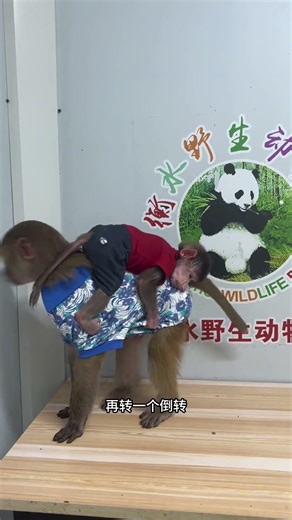 This scene is so touching, Xiao Er finally recognized his uncle! #Is your child also like this