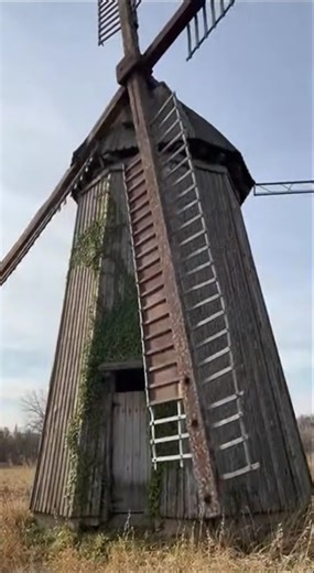 Overgrown Windmill Tags #AbandonedFarm #Rust #FoundFootage #Handheld
