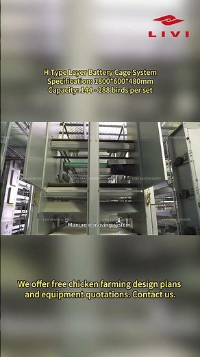 Livi H Type Automatic Layer Cage System Comprehensive display